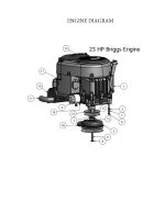 2010 CZT Engine - Briggs