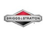 Briggs and Stratton Engine Parts | Bad Boy Mower Parts