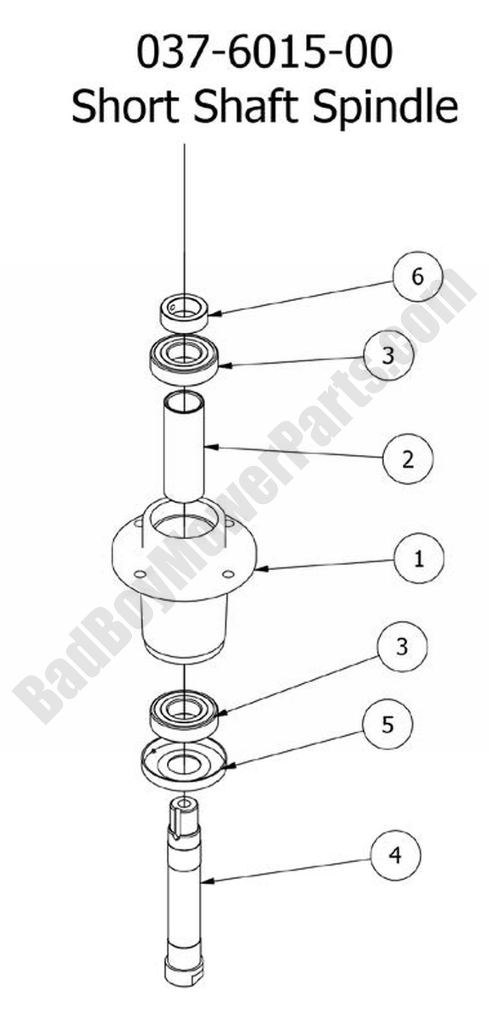 2010 CZT - Spindle Assembly