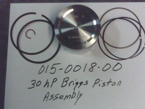 015-0018-00 - 30 HP Briggs Piston Ass.