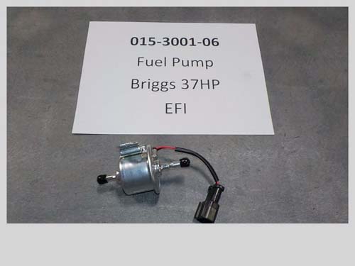 015-3001-06 - Fuel Pump for Briggs EFI | Free Shipping Over $100