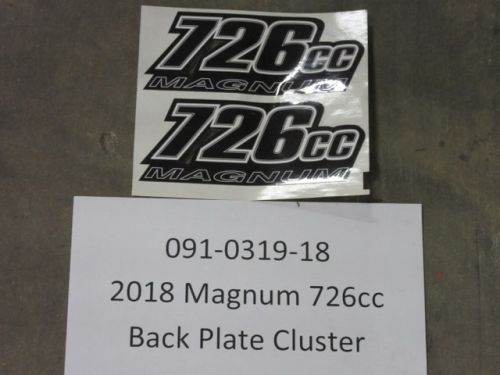 091-0319-18 - 2018-2022 Magnum 726cc Back Plate Cluster