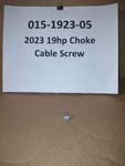 015-1923-05 - 19HP Briggs Choke Cable Screw/Washer