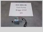 015-3001-06 - Fuel Pump for Briggs EFI | Free Shipping Over $100