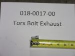 018-0017-00 - Vanguard Exhaust Torx Bolt | Free Shipping Over $100