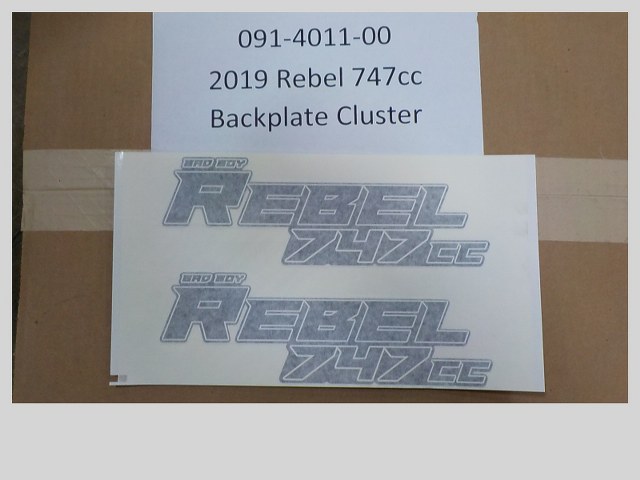 091-4011-00 - 2019-2022 Rebel 747cc Backplate Cluster