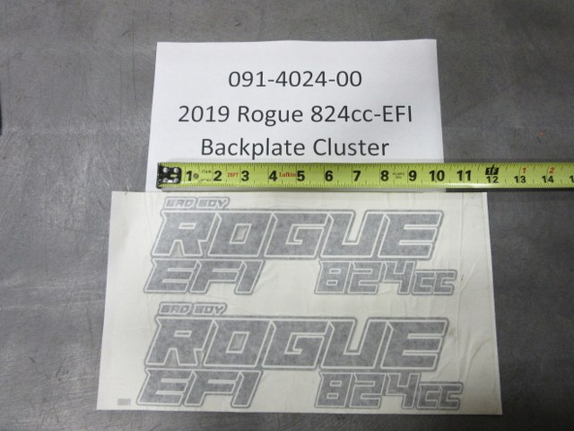 091-4024-00 - 2019-2022 Rogue 824cc-EFI Backplate Cluster