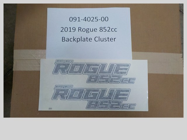091-4025-00 - 2019-2022 Rogue 852cc Backplate Cluster