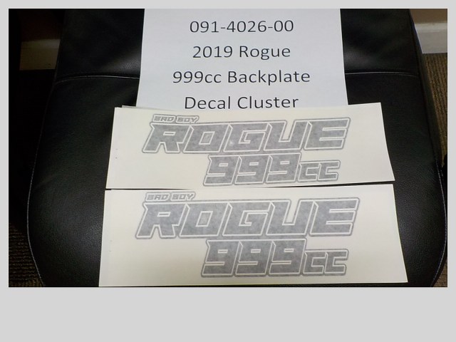 091-4026-00 - 2019-2022 Rogue 999cc Backplate Cluster