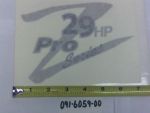 091-6059-00 - Z29 Pro Series Decal