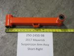250-2450-98 - Suspension Arm Assembly-R | Free Shipping Over $100