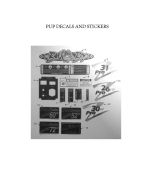 2011-pup-lightning-decals-pup-models-